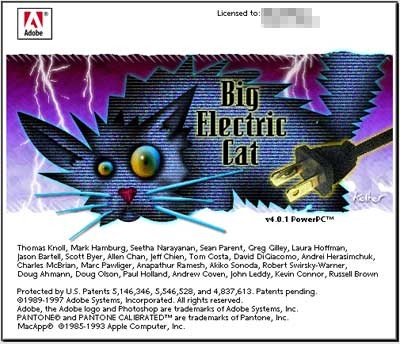 Photoshop Elektrische Katze